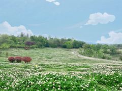 -三岔湖景区