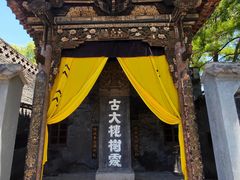 -大槐树寻根祭祖园