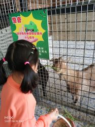 点击看大图 -可可天空农场(东部新城银泰店)