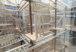 -PIPIKINGDOM皮皮王国欢乐号(欢乐海岸购物中心店)