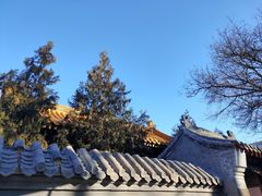 -南锣鼓巷