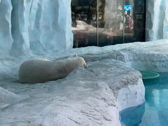 -珠海长隆海洋王国