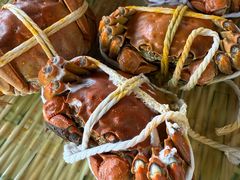 -蟹天蟹地农家菜·阳澄湖大闸蟹(浅水湾店)