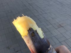 -万源龙顺度假庄园生态观光园