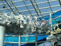 -石家庄市植物园