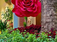 -西安电影制片厂