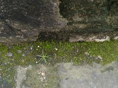 -楚望台遗址公园