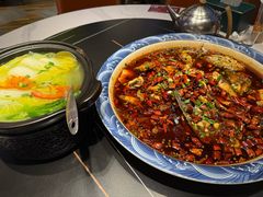 -新概念来凤鱼(璧山店)