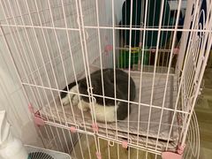-董小姐咖妃·咖啡·简餐.意面(松江大学城店)