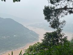 -铁山坪森林公园