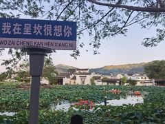 -环秀楼(黄山呈坎店)