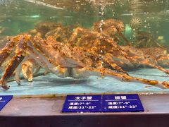 -王庄阿咪海鲜大排档(象园店)