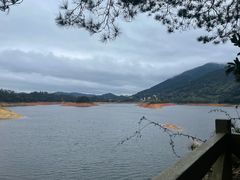 -广州市流溪河国家森林公园