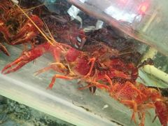 -北京云月居川菜馆(杏口路店)