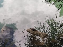 -宗角禄康公园