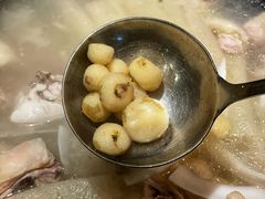 野生珍珠小马蹄-同仁四季椰子鸡(海岸城天利店)