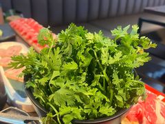 -辣伍鲜毛肚老火锅(元一店)