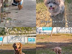 -坪山湿地公园