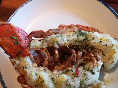 -RED LOBSTER(多伦多DT店)