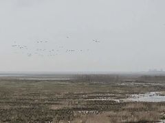-鄱阳湖国家湿地公园