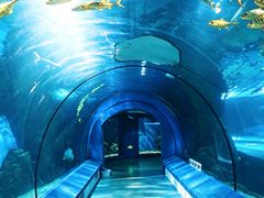 -福州罗源湾海洋世界旅游区