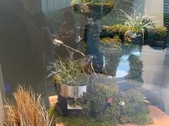 -KUDDO COFFEE(深圳湾总部)