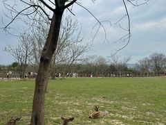 -良渚古城遗址公园