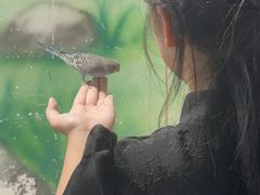 -嘉兴海底世界
