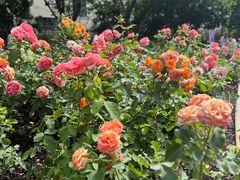 -常熟路(地铁站)