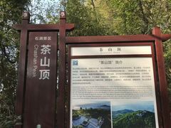 -东莞市大岭山森林公园