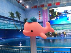 -多彩贵州城极地海洋世界