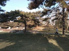 -钓鱼台国宾馆