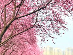 -白塘生态植物园
