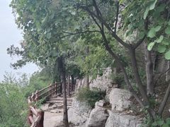 -佛慧山