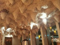 -壹号港湾