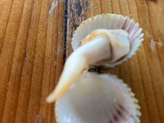 -蓝湾碧波·老字号·疍家非遗海上餐厅