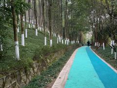 -重庆彩云湖湿地公园