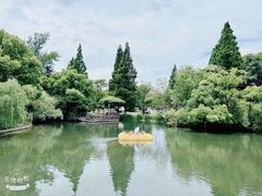 -上海滨江森林公园