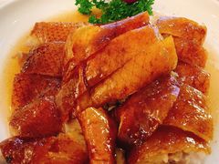 烧鹅-德胜轩正宗顺德菜(宝安沙井会展中心店)