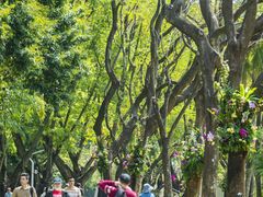 -人民公园(罗湖区)