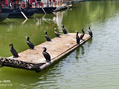 -恋乡太行水镇