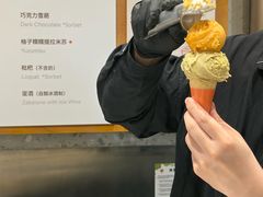 -Dip in Gelato(富民路店)
