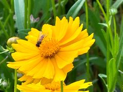 -昆山城市生态森林公园
