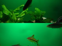 -上海海洋水族馆