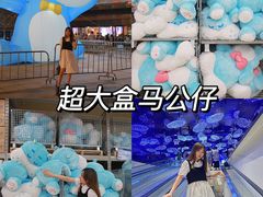 -盒马X会员店(上海森兰商都店)