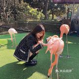 愉快的野生动物园之行[调皮]
