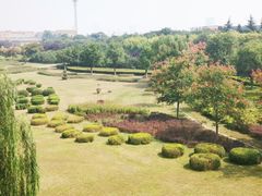 -咸阳湖景区-古渡公园