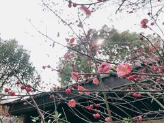 -杭州第一世界大酒店·云曼温泉