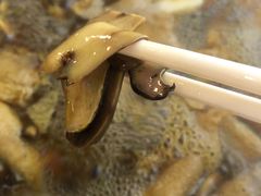 -太婆天府山珍酒楼(亚运村店)