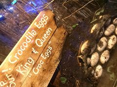 -迪拜水族馆及水下动物园